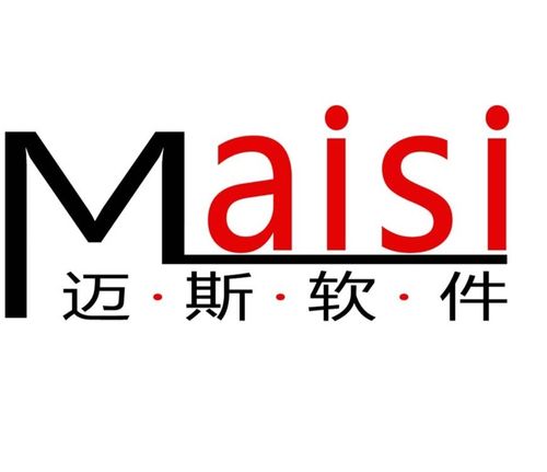 科技賦能，數智轉型 合肥邁斯軟件科技的軟件開發之道